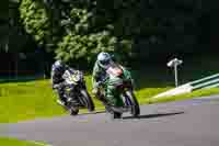 cadwell-no-limits-trackday;cadwell-park;cadwell-park-photographs;cadwell-trackday-photographs;enduro-digital-images;event-digital-images;eventdigitalimages;no-limits-trackdays;peter-wileman-photography;racing-digital-images;trackday-digital-images;trackday-photos